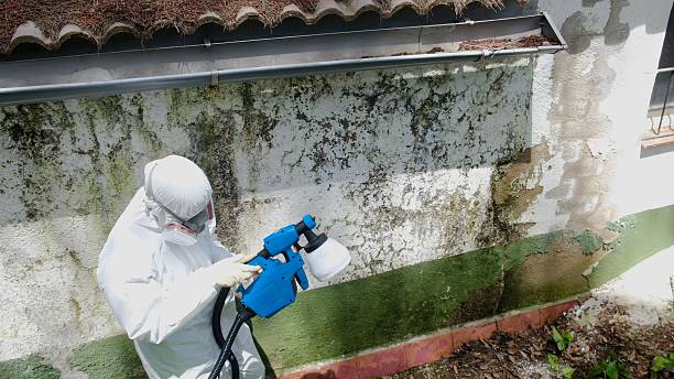 Trusted Mold Testing service in Lowell, NC - Cheap Mold Removal